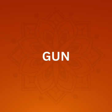 GUN